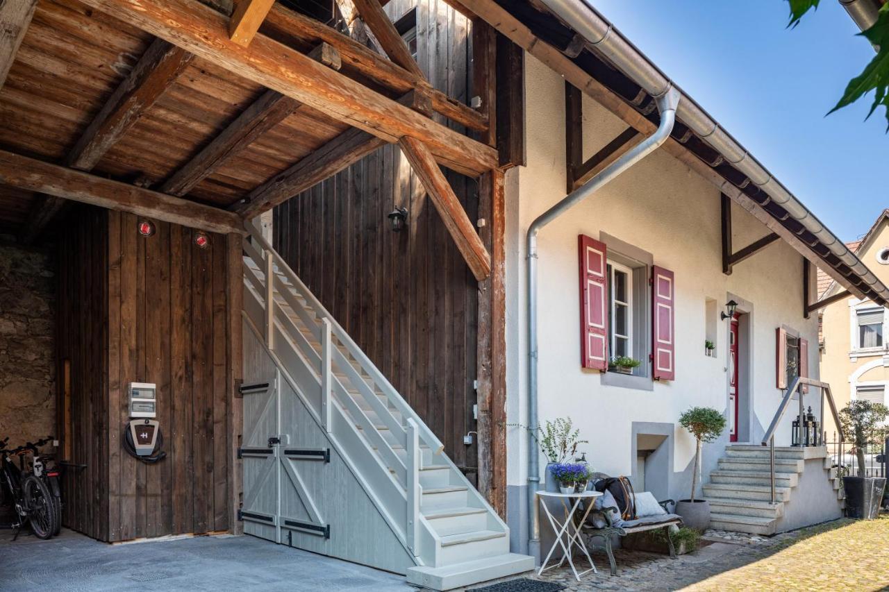 Kleiner Hof Rosenrot Apartment Endingen am Kaiserstuhl Екстериор снимка